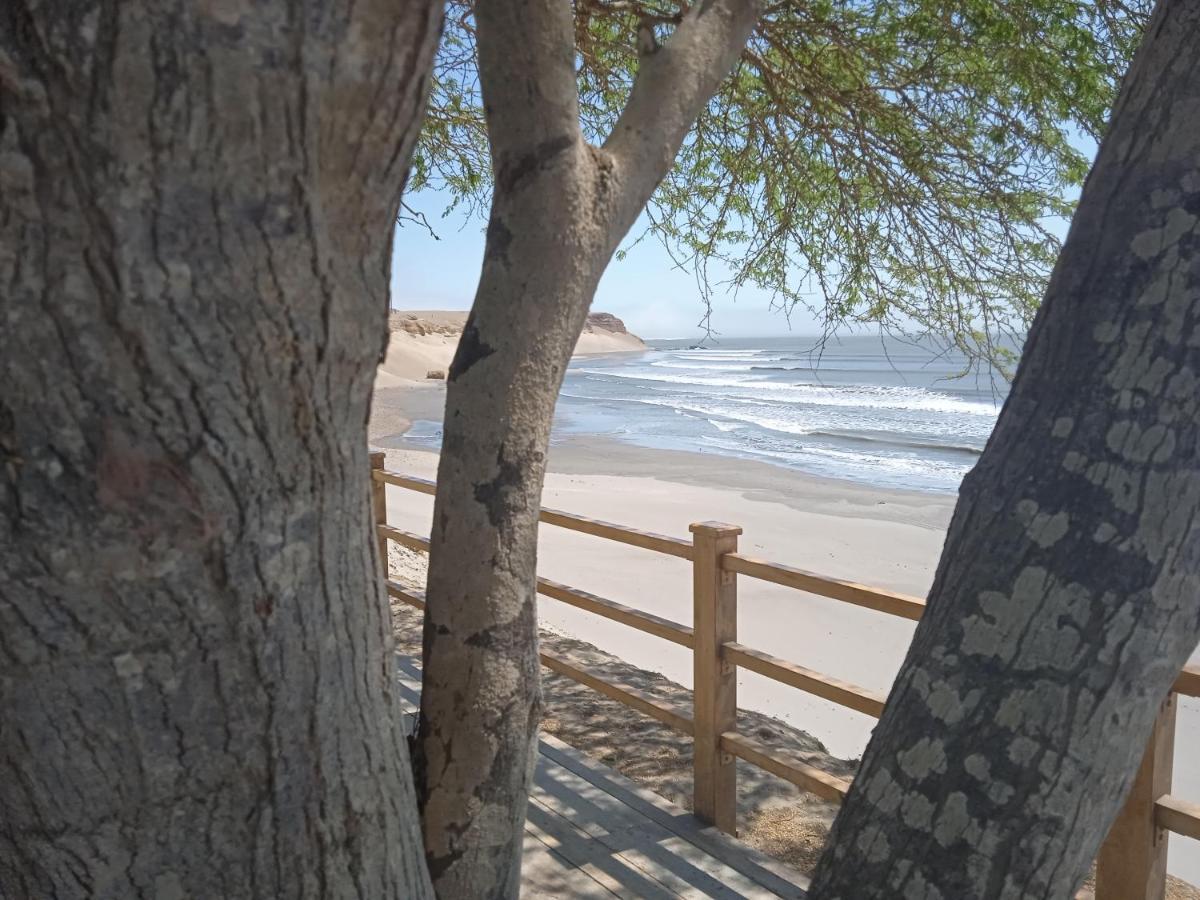 Chicama Surf Camp Hotel Puerto Chicama Ngoại thất bức ảnh